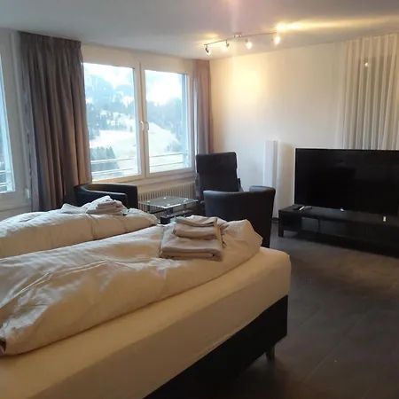 Barbara West Appartement-fewo 2-bettwohnung By Interhome * Engelberg